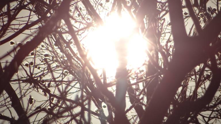 De zon straalt volop (Foto: An Roelen Molenschot).