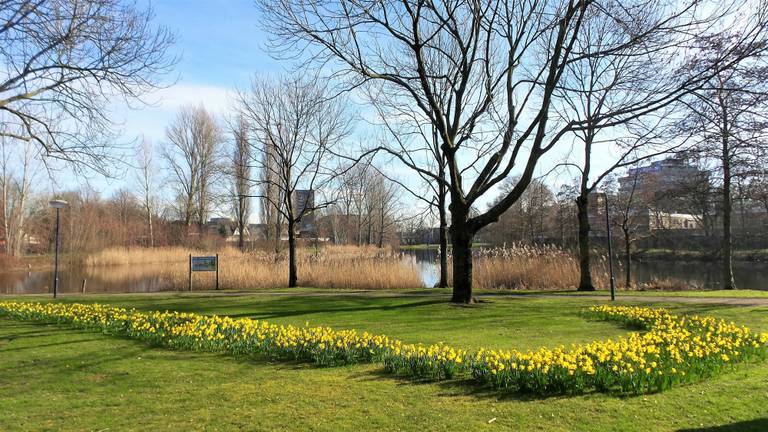 Lente in Breda. (Foto: Henk Voermans)