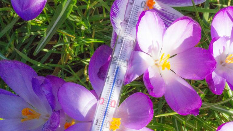 De temperaturen lopen woensdag nog hoog op, maar donderdag wordt het kouder (Foto: Ab Donker)