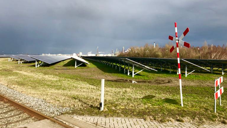 Het zonnepark met 76.000 panelen op het terrein van Shell Moerdijk. (foto: Raoul Cartens)