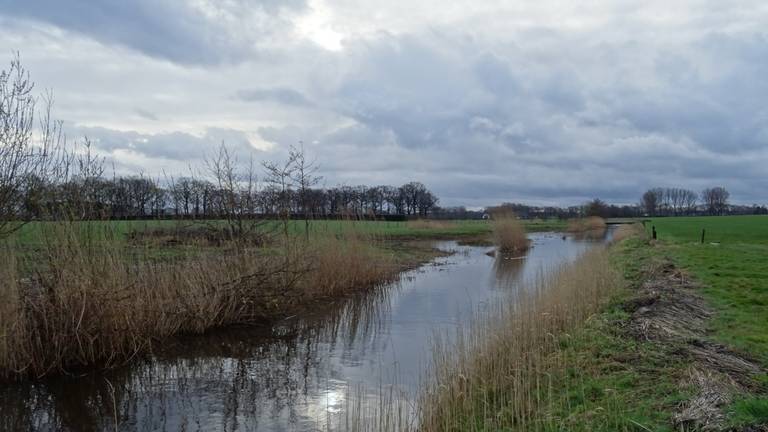 Een druilerig Stiphout. (Foto: Willem van Nunen)