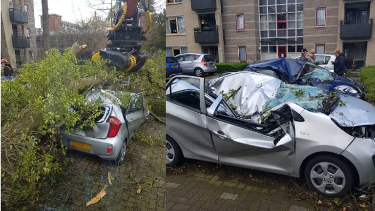 Een boom viel op twee auto's.