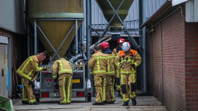 De brandweer probeert de varkens op het droge te krijgen. (Foto: Pim Verkoelen/SQ Vision)