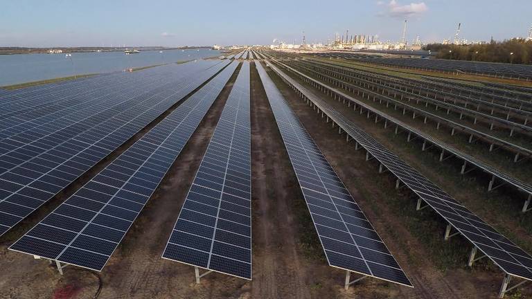 Het enorme zonnepark op het terrein van Shell Moerdijk