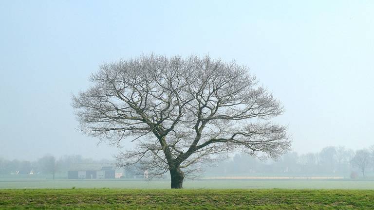 Omroep Brabant