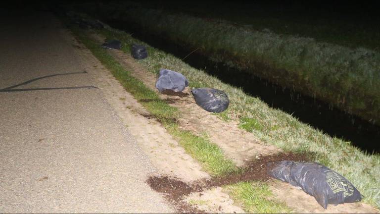 De zakken hennepafval lagen over een afstand van meer dan een kilometer verspreid. (Foto: Bart Meesters)