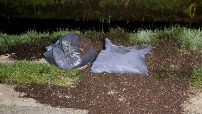 De beveiliger zag hoe de zakken met hennepafval werden gedumpt op de Gementweg in Vught. (Foto: Bart Meesters)