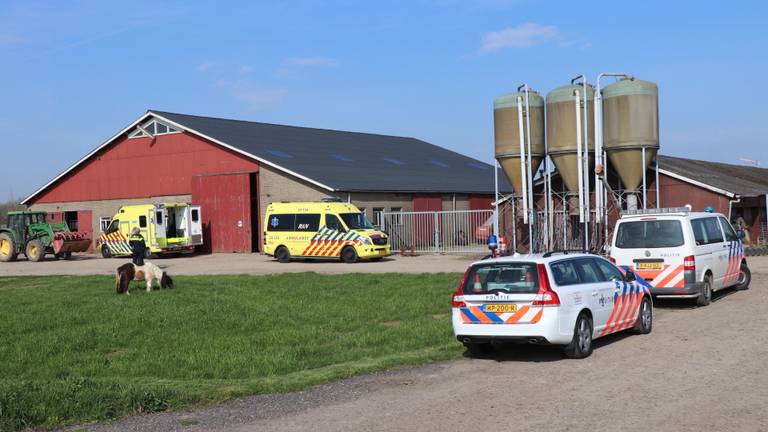 Man maakt val in boerderij Het Hakkevelt (foto: Jurgen Versteeg/FPMB).