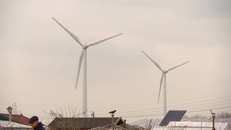 De windmolens op Haven Acht moeten flink hoger worden.