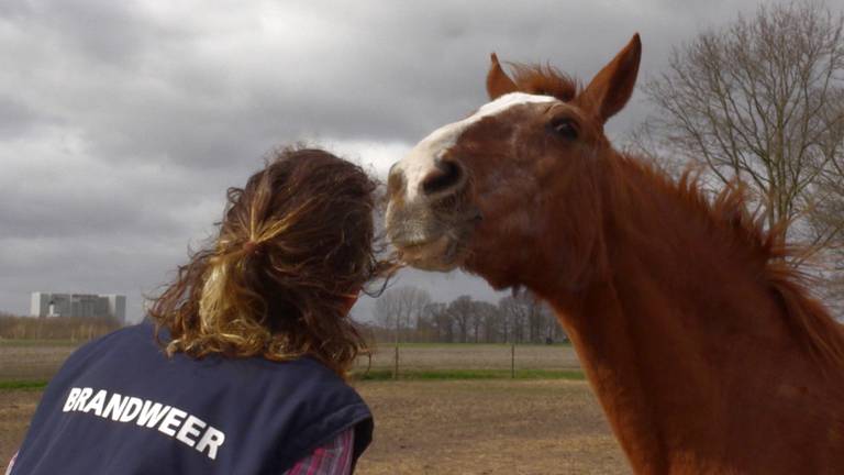 Isabella is helemaal verknocht aan haar 35-jarige merrie Coco