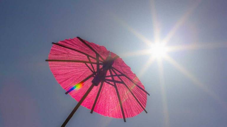 In april is de zon ook al erg krachtig. (Foto: Ab Donker)