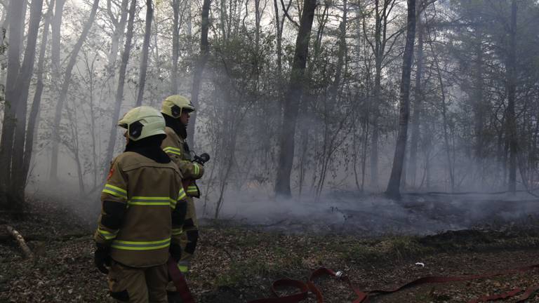Brand in de bossen van Sambeek. (Foto: SK Media)