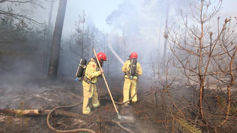 Brandweerlieden bestrijden het vuur. (Foto: SQ Vision)