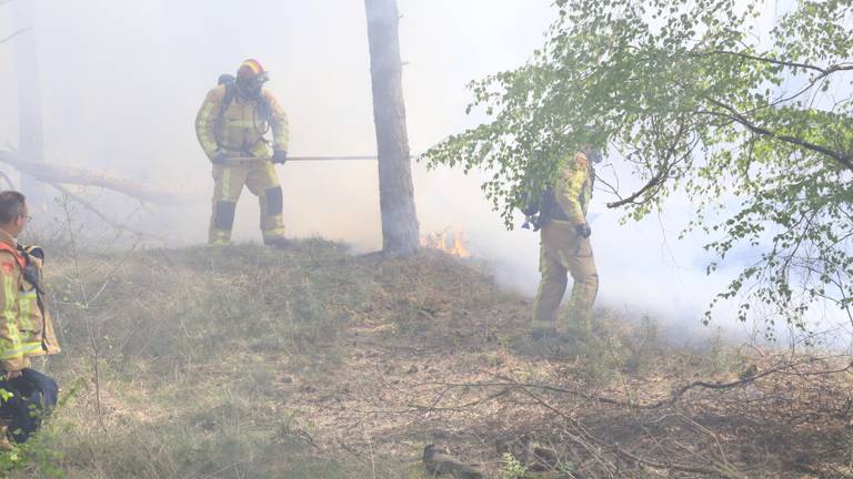 Het vuur was lastig te bestrijden. (Foto: Harrie Grijseels/SQ Vision)