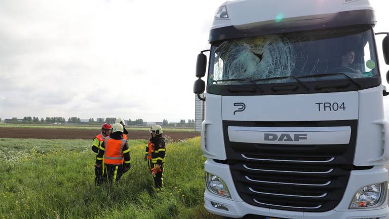 De gans ging dwars door de voorruit. (Foto: Erik Haverhals/FPMB)