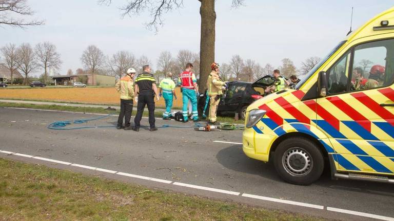 Een auto is tegen een boom gebotst in Bakel. (Foto: Martien van Dam/SQ Vision)