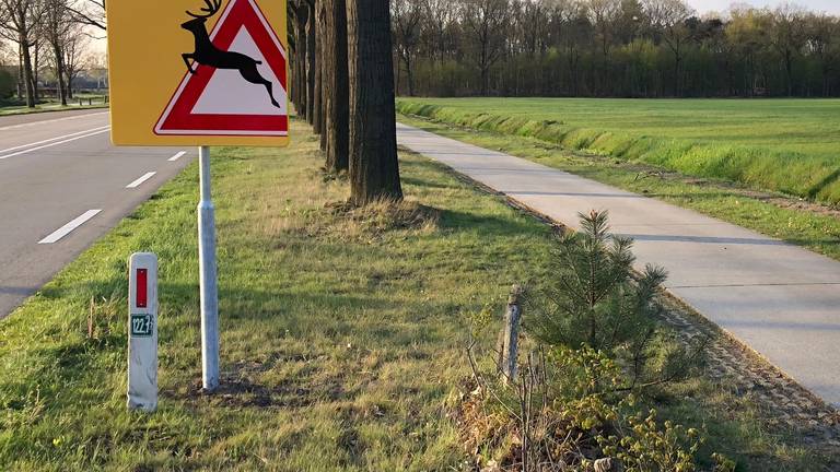 De provincie zet zoals hier in Elsendorp nieuwe borden om te waarschuwen voor overstekend wild om het aantal van 1000 aanrijdingen per jaar te verminderen