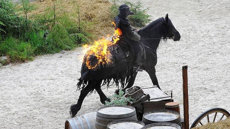 De actievoerders verzetten zich tegen brandende dekens op de paarden van Raveleijn (foto: Erald van der Aa).