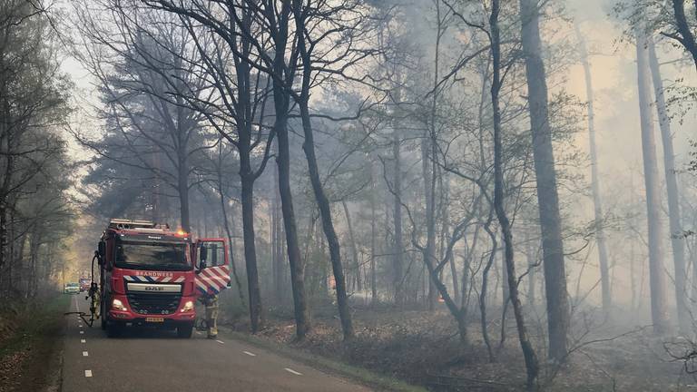 Omroep Brabant