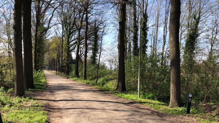 De Kasteellaan bij Asten-Heusden, vroeger al berucht vanwege potloodventers.