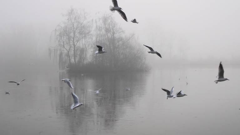 Omroep Brabant