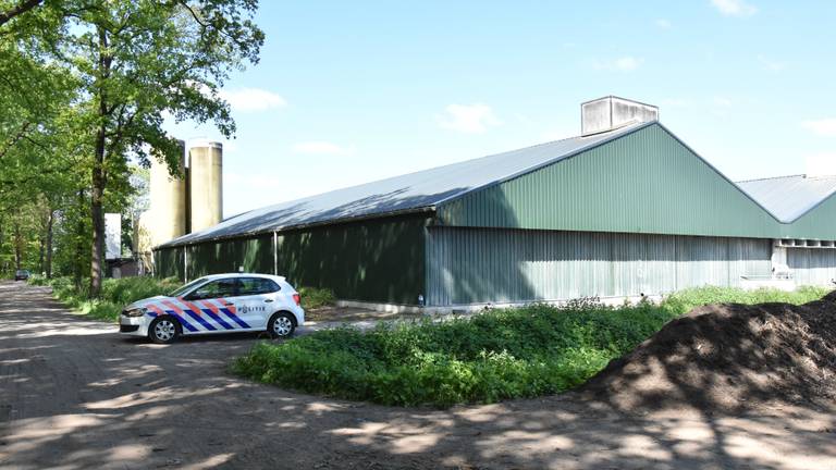 De varkenshouderij van de familie Van Sleuwen in Boxtel. (Foto: GinoPress B.V).