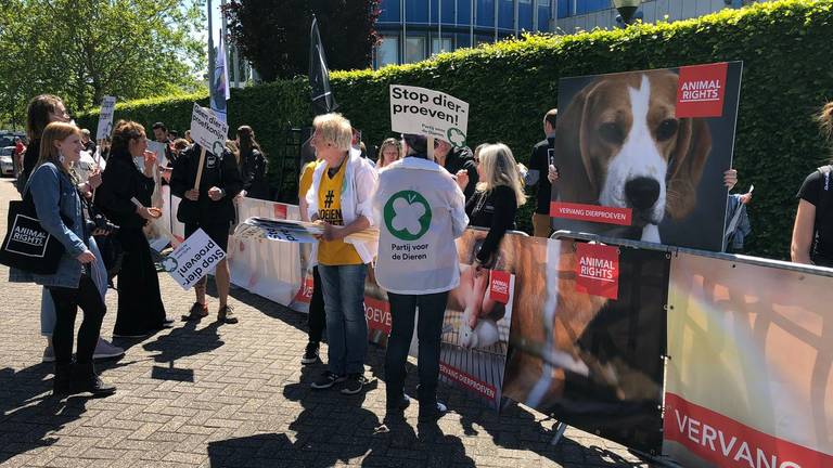 Activisten protesteren in Den Bosch tegen dierproeven. (Foto: Rogier van Son).