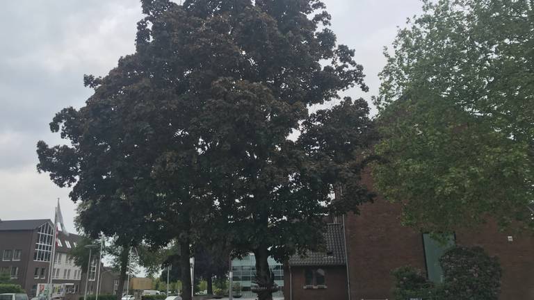 Omroep Brabant