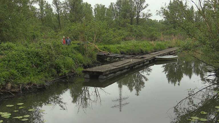 De Biesbosch. (foto: archief)