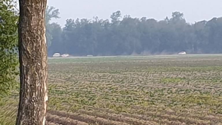 Politiewagens rijden weg nadat ze een houseparty hebben beëindigd. (Foto: Archief Omroep Brabant)