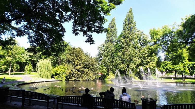 Park Valkenberg in Breda (archieffoto: Henk Voermans).