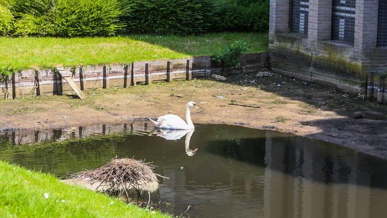 De gracht stroomde door een oude put bijna helemaal leeg. (Foto: Pim Verkoelen/SQ Vision)