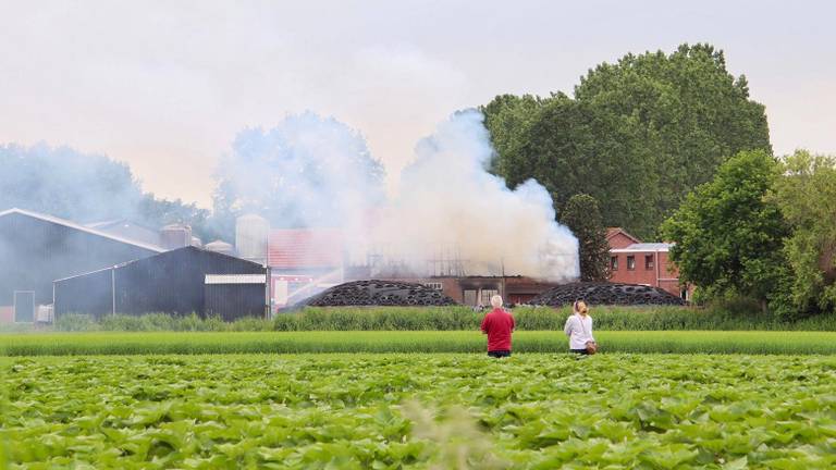 Veel rook bij de brand in Steenbergen (foto: Toby de Kort).
