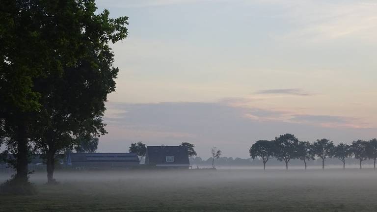 Boeren zijn verplicht voor 2022 emissie-arme stallen te bouwen. (Foto: Joop van der Kaa)