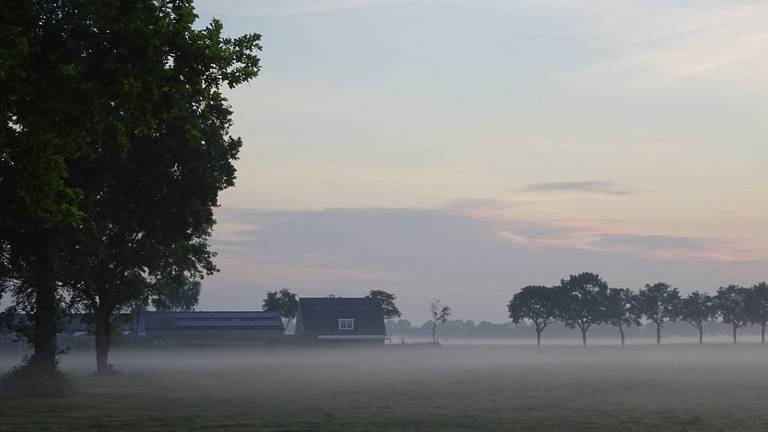 Foto: Joop van der Kaa