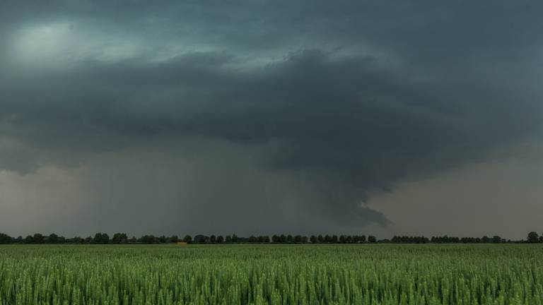 Omroep Brabant