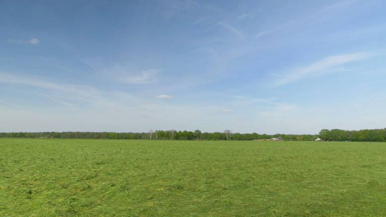 Brabant verandert in een 'groene woestijn'.