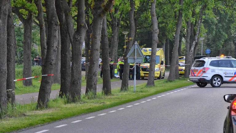 Een motorrijder is zaterdagavond tegen een boom aangereden (Foto: Anthony DeCock/De Kort Media).