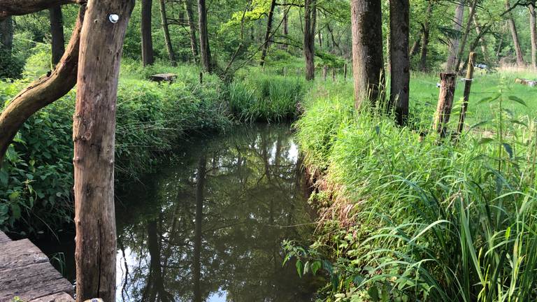 Natuurliefhebbers kunnen vanaf zaterdag hun hart ophalen op Landgoed Wellenseind (Foto: Imke van de Laar)