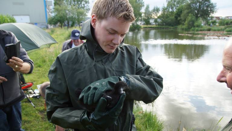 Het geredde vogeltje. (foto: Erik Havershals)