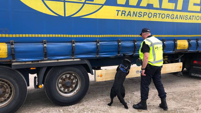 Een politiespeurhond bij een vrachtwagen (Foto: René van Hoof)