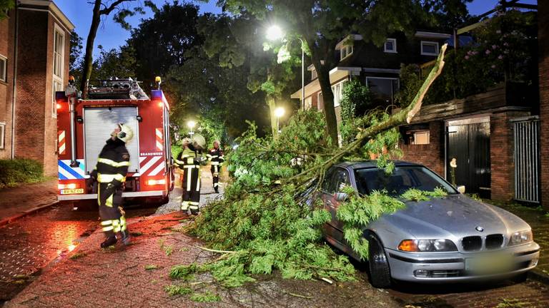 In de Armhoefstraat in Tilburg viel een dikke tak op een BMW. (Foto: Toby de Kort)