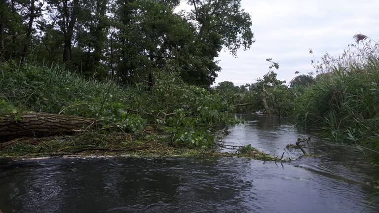 Voorlopig is het verboden te kanoën op de Dommel