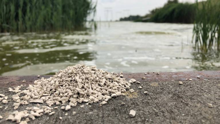 Groene soep van de Binnenschelde moet weer helder worden dankzij