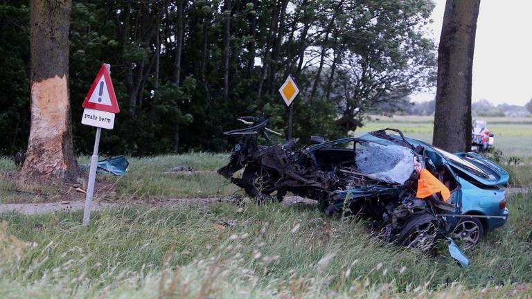 De auto raakte een boom langs de kant van de weg. (Foto: Bart Meesters)