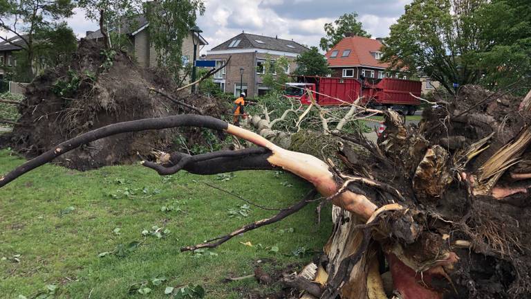 Stormschade in Eindhoven