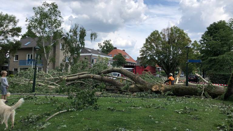 Stormschade in Eindhoven (Archieffoto: René van Hoof)