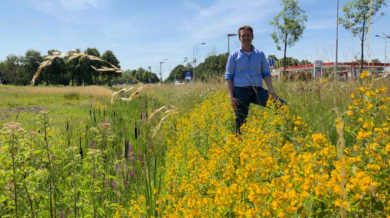 Ecoloog Merlijn Hoftijzer in een van de kleurrijke bermen in Breda. (Foto: Birgit Verhoeven)