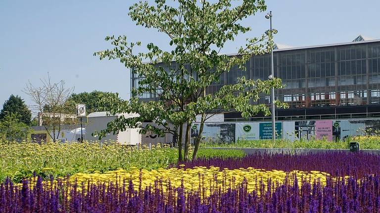 Tilburg trekt vier ton uit voor herstel groen in de stad. (Foto: gemeente Tilburg)