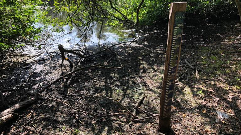 Door de droogte zijn peilschalen in De Peel helemaal drooggevallen.